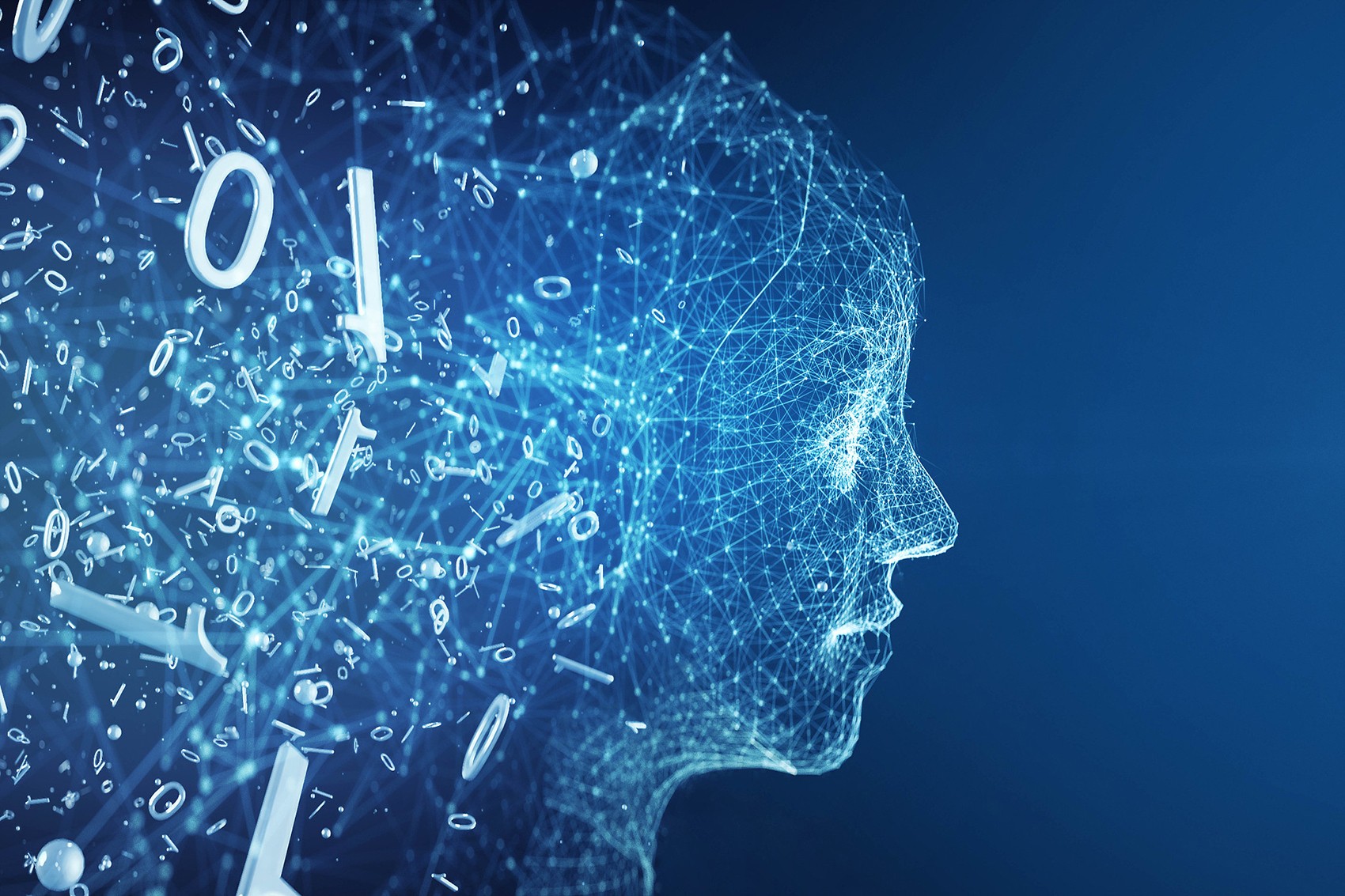 视频成品数据集